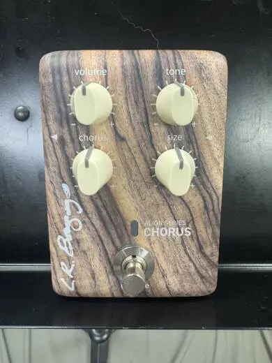 Store Special Product - L.R Baggs Align Chorus